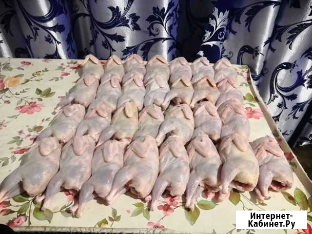Мясо перепел Маслова Пристань - изображение 1