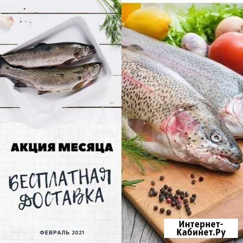 Рыба форель вылов 22.02 охлажденная Новосибирск - изображение 1