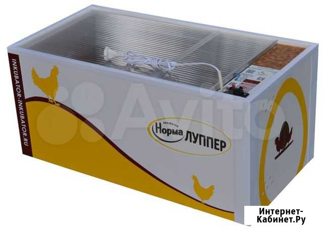 Инкубатор Скородное - изображение 1