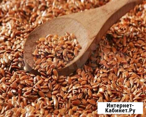 Семена Льна Отборные Новосибирск - изображение 1
