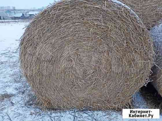 Солома пшеничная Верхнеяркеево