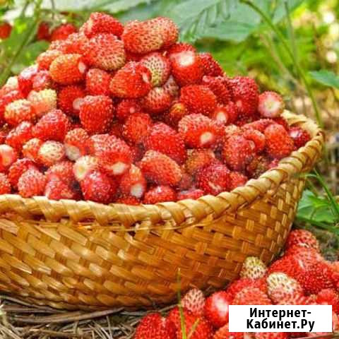 Разливные духи аромат Земляника Пермь - изображение 1