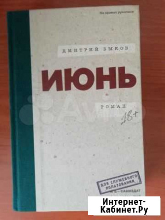 Быков Дмитрий Июнь Иркутск - изображение 1