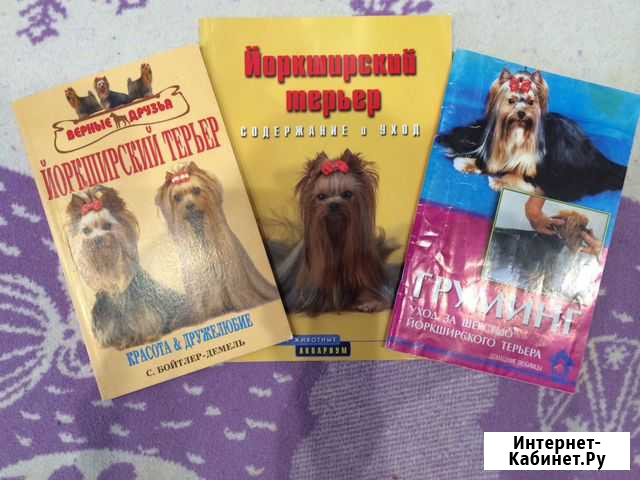 Книга о йоркширских терьерах Тула - изображение 1