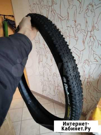 Schwalbe Rocket Ron, Rubena Scylla Racing PRO Новосибирск - изображение 1