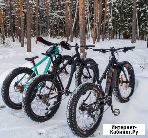 Фетбайк на 26 колесах Каменка - изображение 1