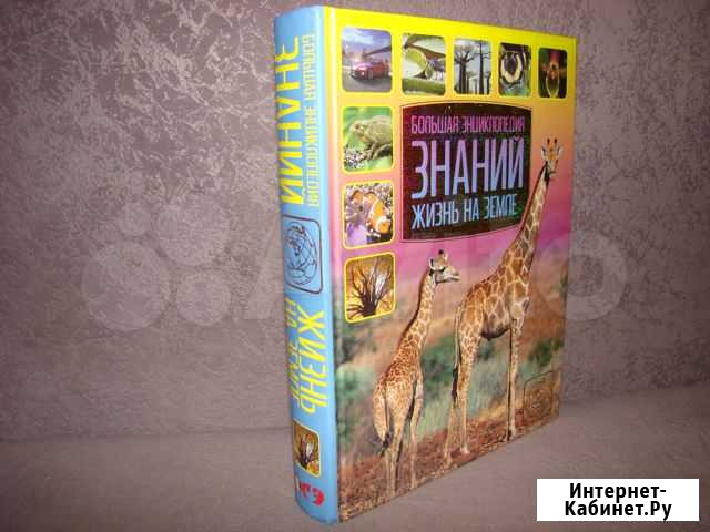 Большая энциклопедия Знаний - Жизнь на земле Осинники - изображение 1