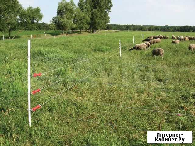 Электропастух для овец и коз на 1Га (полный компл) Ростов-на-Дону - изображение 1