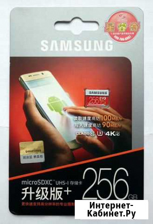 Samsung EVO Plus 256Gb microSD UHS-I U3, новая Йошкар-Ола - изображение 1