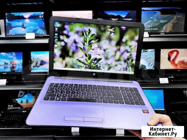Ноутбуки Asus/Acer/HP/Lenovo/Dell/Samsung Новосибирск - изображение 1