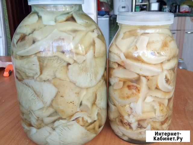 Грузди соленые Курган - изображение 1