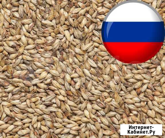 Солод Мюнхенский тип 2 Краснодар - изображение 1
