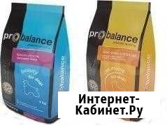 Корм для щенков до 3-х месяцев. Арт 355 Славянск-на-Кубани - изображение 1