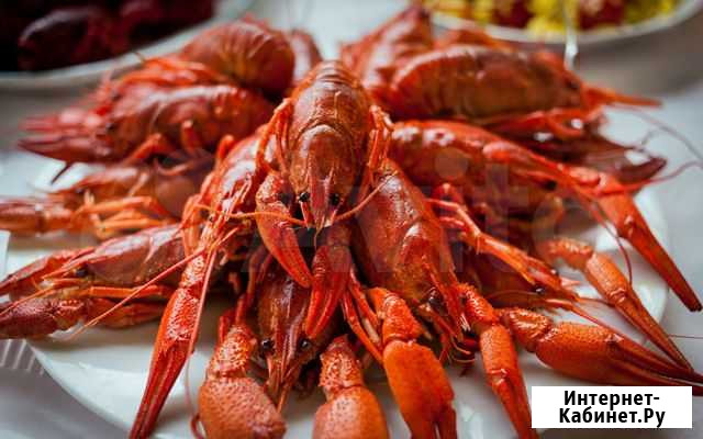 Раки-Барракуда. Доставка. Раки живые. Раки вареные Краснодар - изображение 1