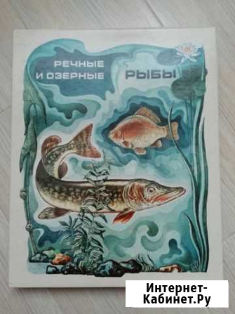 Коллекционный набор спичек Речные и озёрные рыбы Обнинск - изображение 1