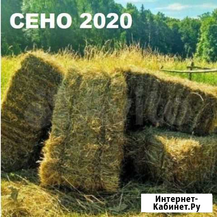 Сено Пермь - изображение 1