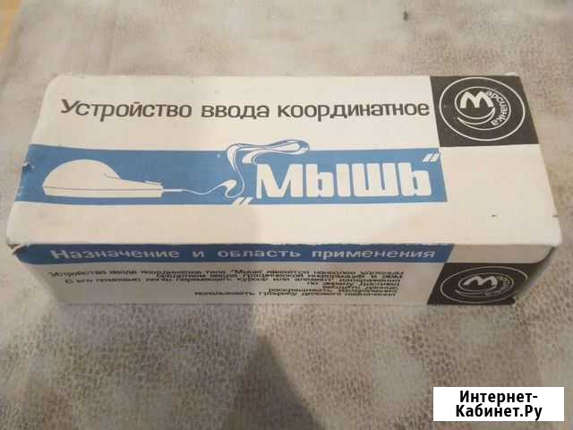 Мышь Марсианка Йошкар-Ола - изображение 1