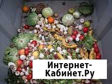 Пищевые отходы для с/х животных Панковка - изображение 1