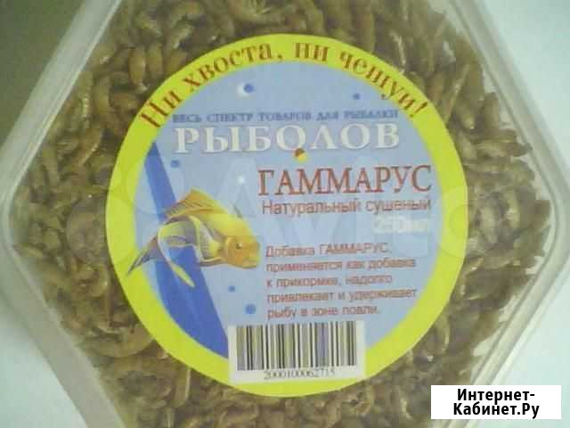 Гаммарус Уфа - изображение 1