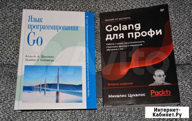 Язык программирования Go Новосибирск - изображение 1