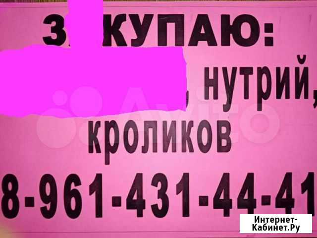 Кролики Живым весом Скуп Зерноград - изображение 1