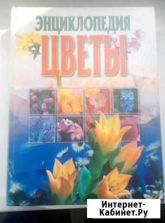 Энциклопедия цветы Ивантеевка - изображение 1