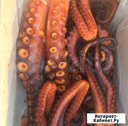 Осьминог Холодного Копчения Красноярск - изображение 1