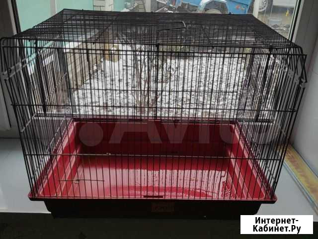 Клетка Благодарный - изображение 1