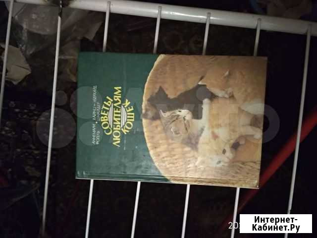 Книга про кошек Омск - изображение 1