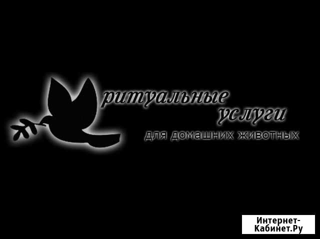 Усыпление и кремация животных (кошки,собаки) Белгород - изображение 1