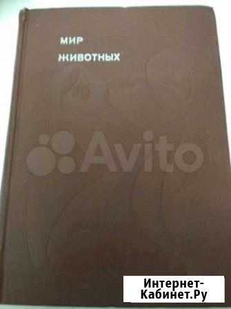Мир животных И. Акимушкин Краснодар - изображение 1