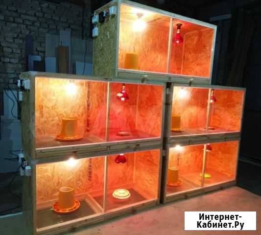 Брудер для цыплят новый Курган - изображение 1