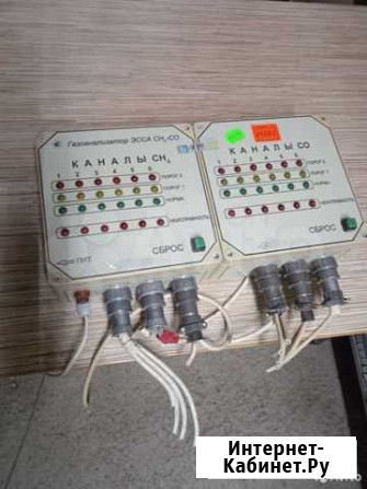 Газоанализатор эсса сО-сН4 исполнение бс Пермь - изображение 1