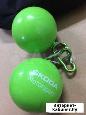 Дождивики Skoda Салехард - изображение 1