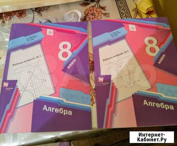 Рабочие тетради по алгебре и геометрии. 8 класс Сосновоборск - изображение 1