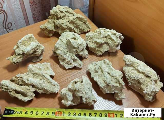 Камни, туф, улитки Санкт-Петербург - изображение 1