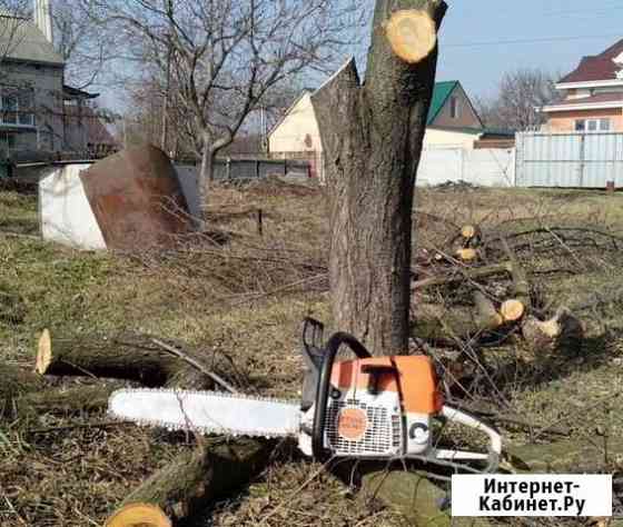 Спил и вывоз деревьев Таганрог