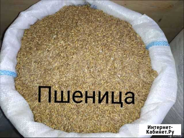 Дрожжи Иваново - изображение 1