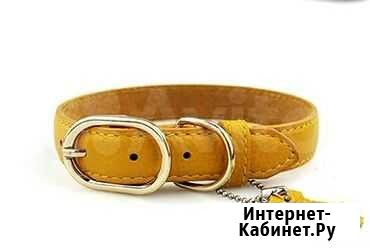 Кожанный ошейник размер XS Тольятти - изображение 1