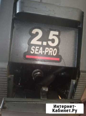 Sea pro 2.5 Омск - изображение 1
