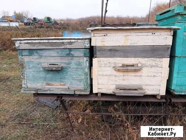 Улей Ростовка - изображение 1