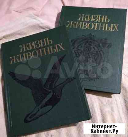 Книги Жизнь животных Краснодар