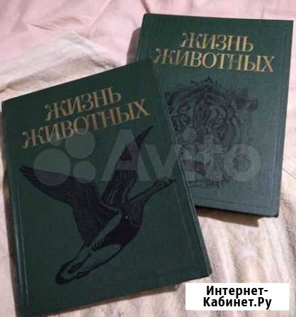Книги Жизнь животных Краснодар - изображение 1
