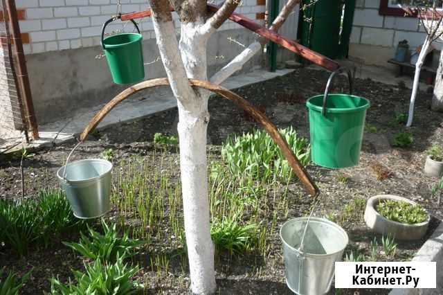Коромысло Короча - изображение 1