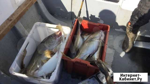 Морская рыбака Видяево - изображение 1