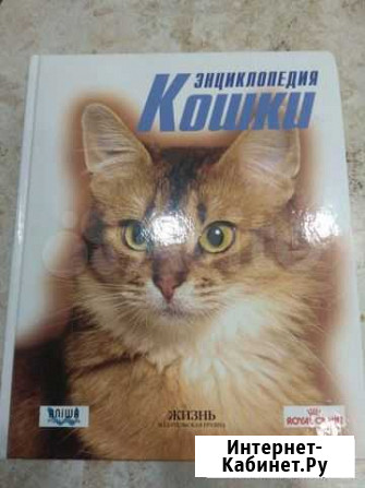 Энциклопедия Курск - изображение 1