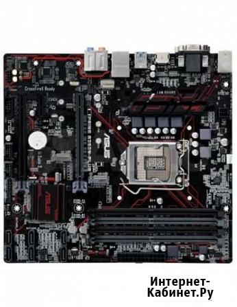 Asus prime b250 plus Санкт-Петербург - изображение 1