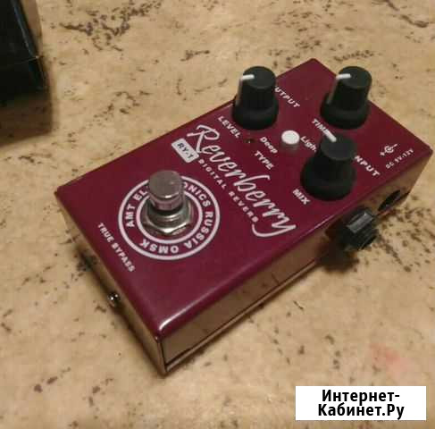 AMT RY-1 Reverberry цифровой ревербератор Ростов-на-Дону - изображение 1