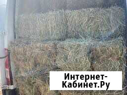 Сено в тюках Бродокалмак - изображение 1
