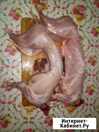 Мясо кролика Иркутск - изображение 1